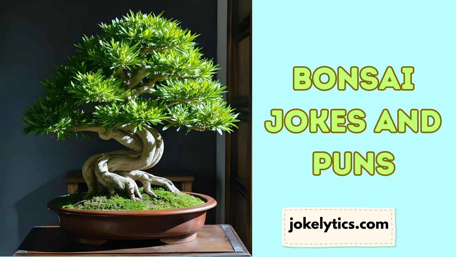 Bonsai Jokes and Puns