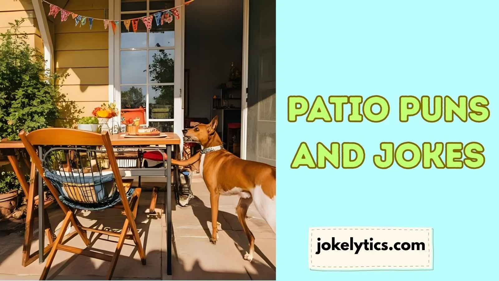 159+ Patio Puns and Jokes Deck You Out in Laughter! (2025)