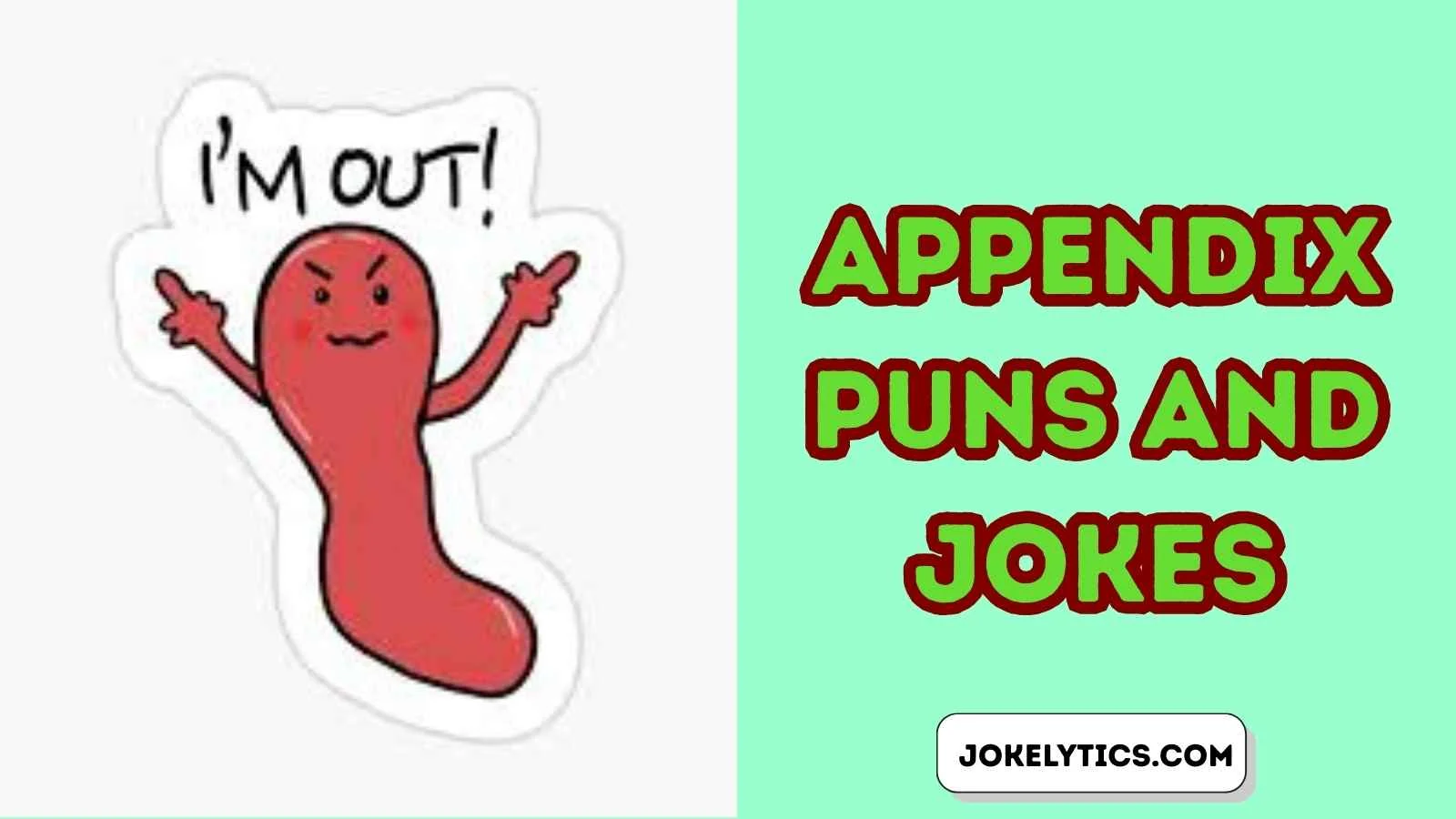 Appendix Puns and Jokes