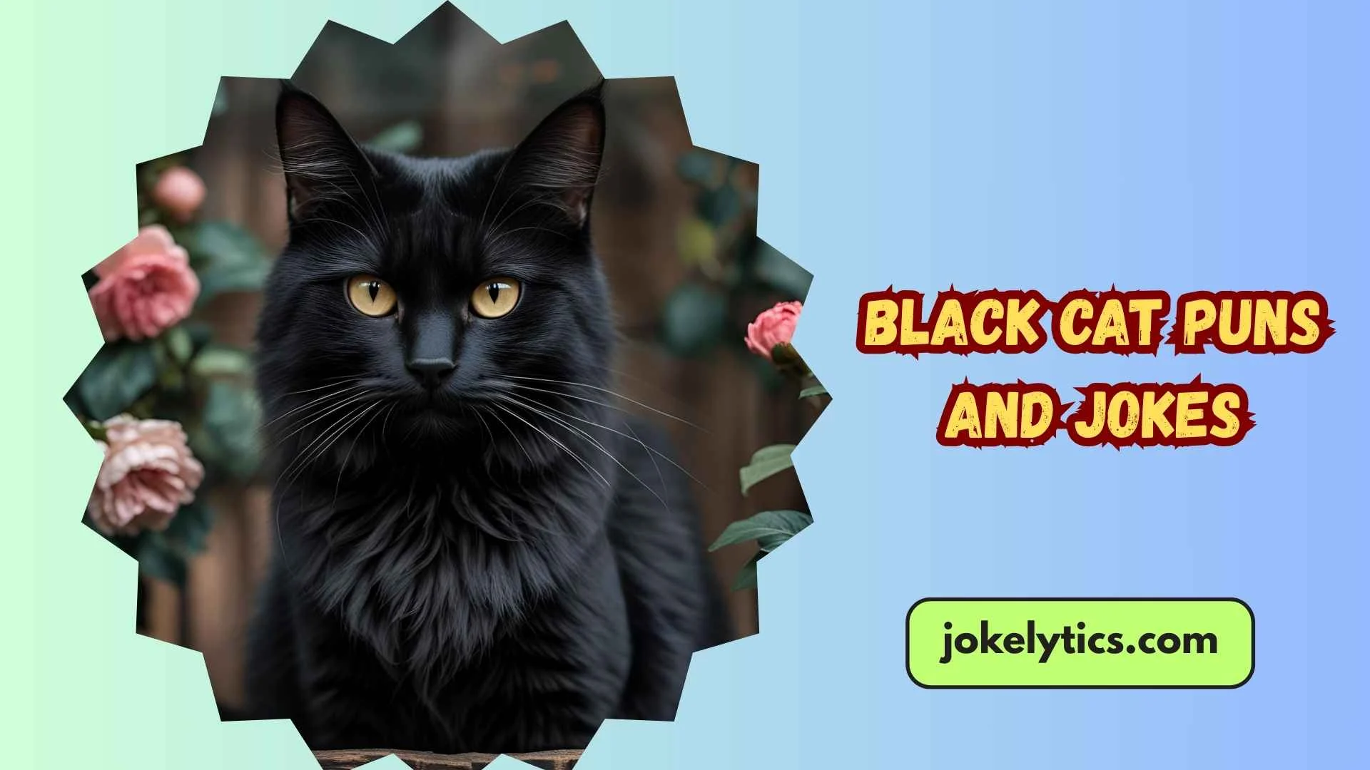 133+ Black Cat Puns and Jokes You Will Totally Fall For (2025)