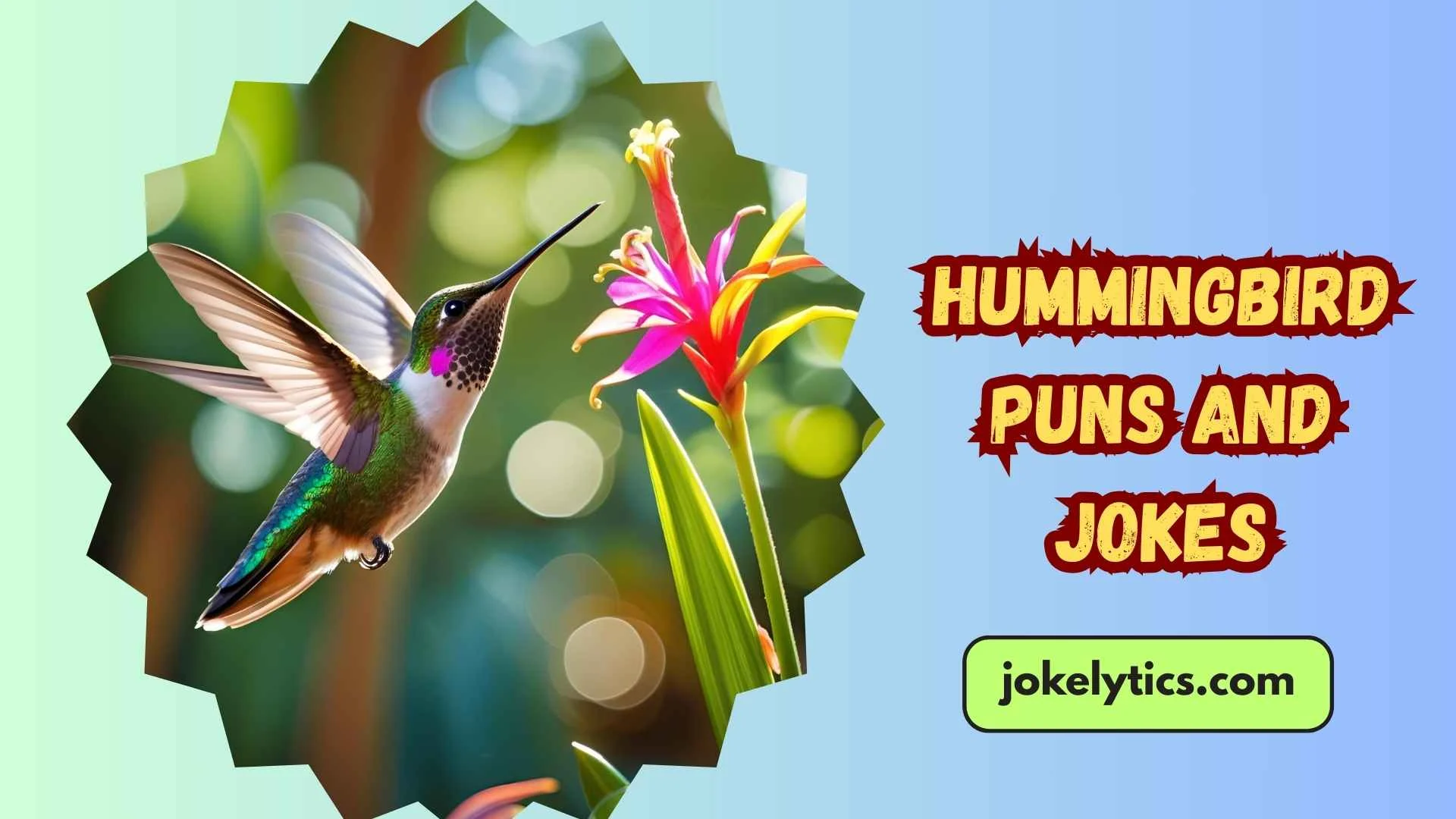 Hummingbird Puns and Jokes