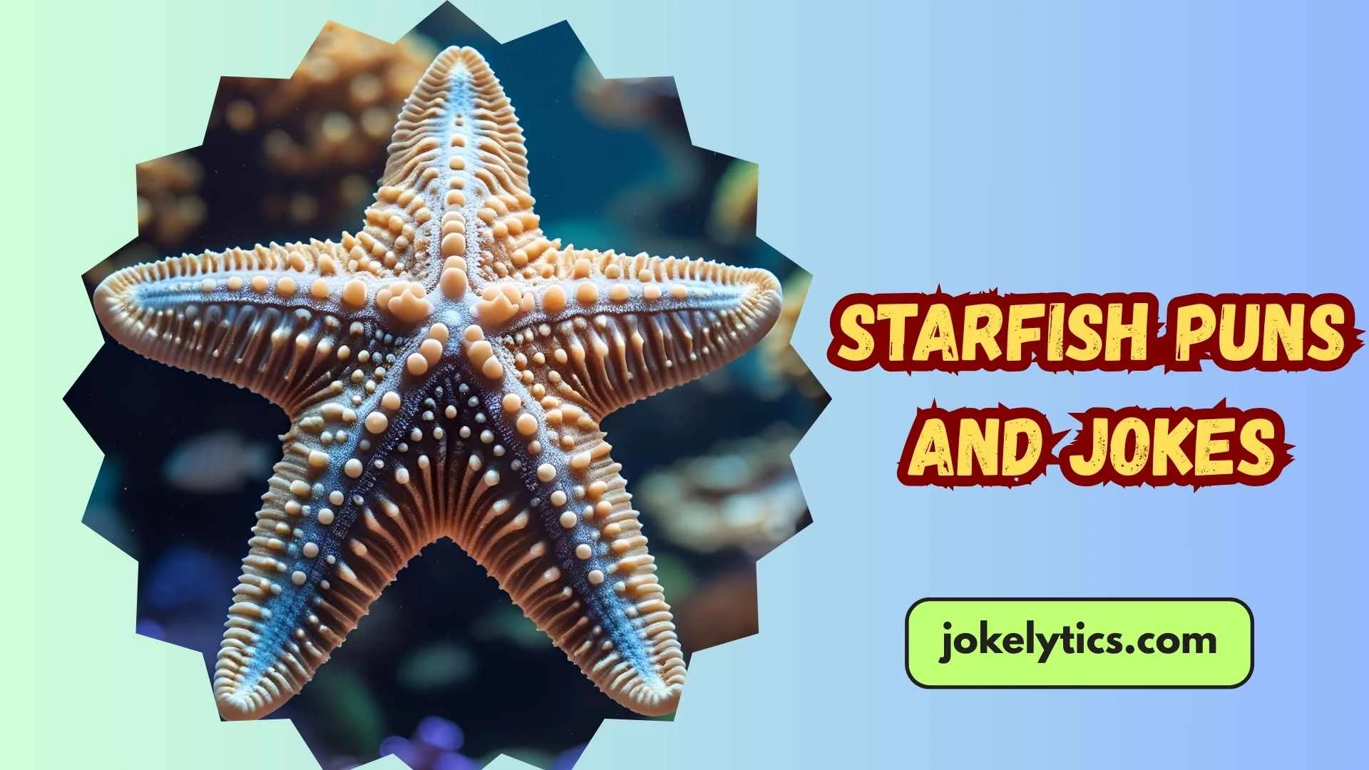 179+ Starfish Puns and Jokes That Will Make You Sea LOL (2025)