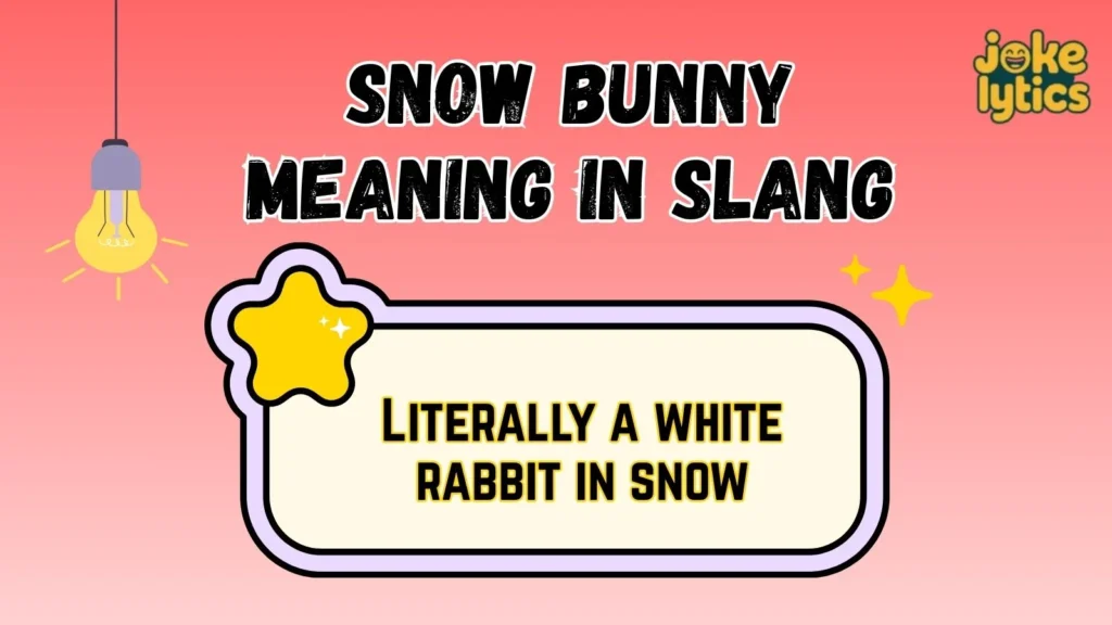 Different Meanings of Snow Bunny in Other Fields
