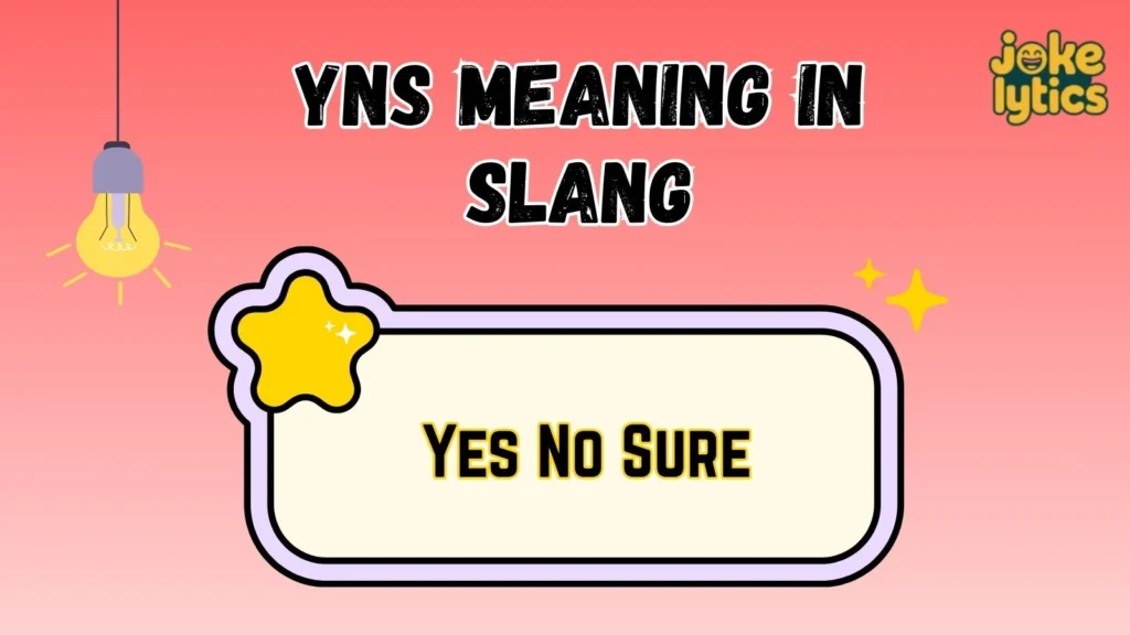 How People Use YNS in Daily Conversations